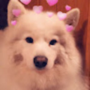 Meet your Posher, Cyndi